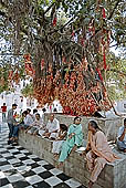 Bajreshwari Devi Temple - Kangra 